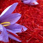 Finest & Purest Saffron Herat Afghanistan